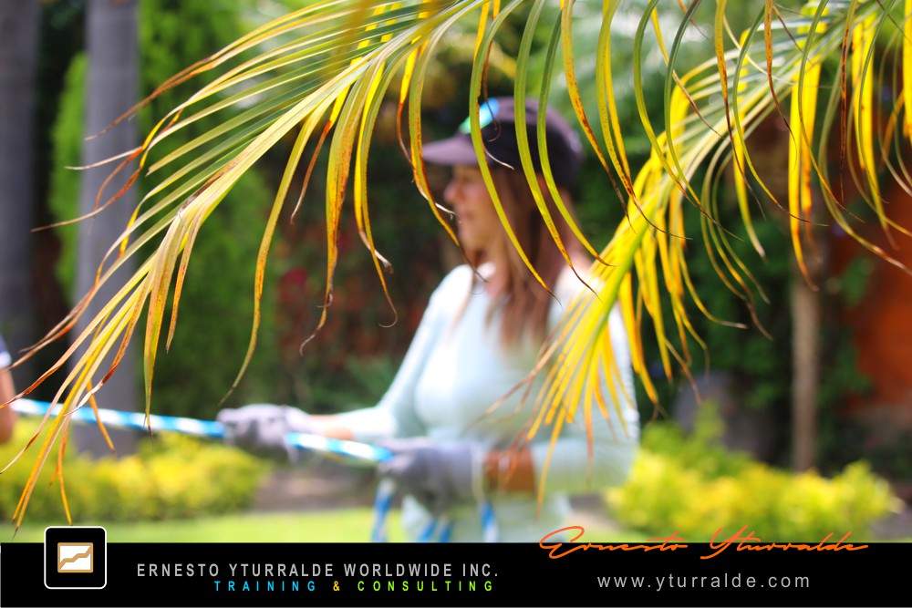 Team Building LATAM | Trabajo en Equipo a través de Talleres Vivenciales